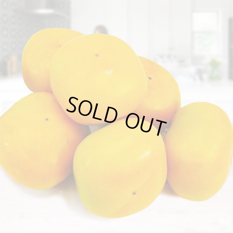 画像4: 愛媛県産　刀根柿（とねがき）　ご家庭用５kg (4)