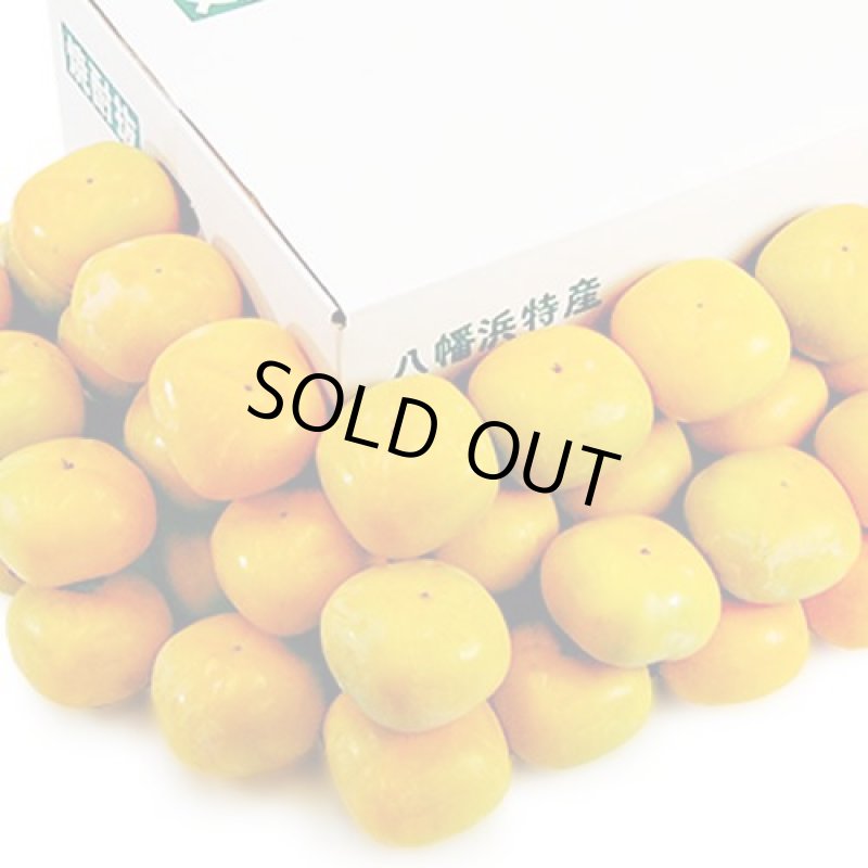 画像2: 愛媛県産　刀根柿（とねがき）（自然の恵み）小玉 7kg (2)