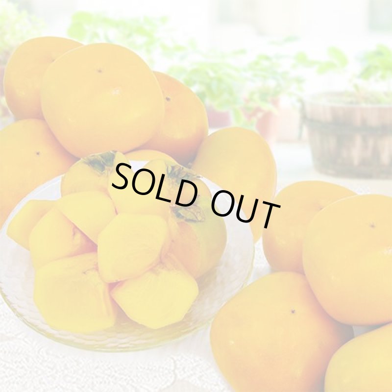 画像3: 愛媛県産　刀根柿（とねがき）　ご家庭用５kg (3)