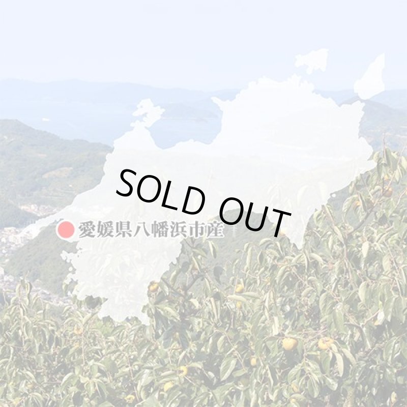 画像6: 愛媛県産　刀根柿（とねがき）　ご家庭用５kg (6)