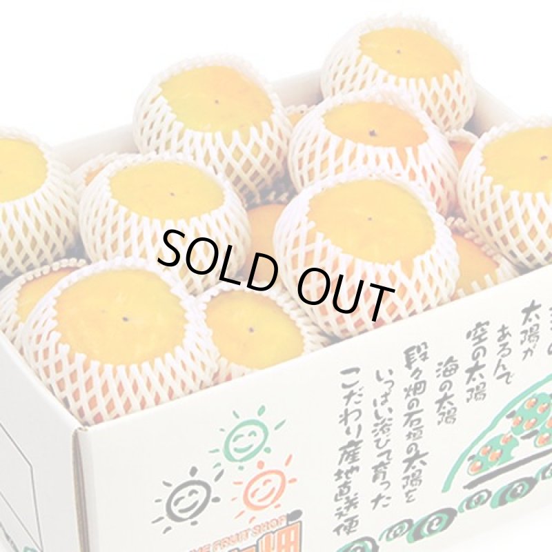 画像2: 愛媛県産　刀根柿（とねがき）　ギフト用５kg (2)