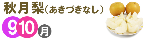 愛媛県産フルーツショップ段々畑 秋月梨