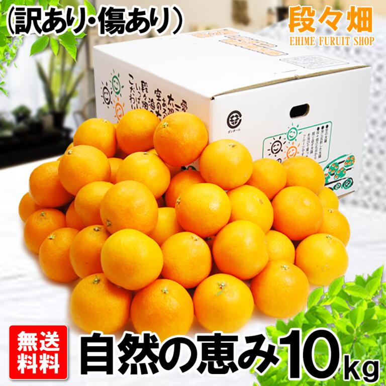 媛まどんな　愛媛県産　媛まどんな（愛果28号）　愛媛県産　自然の恵み(訳あり・傷あり）10kg