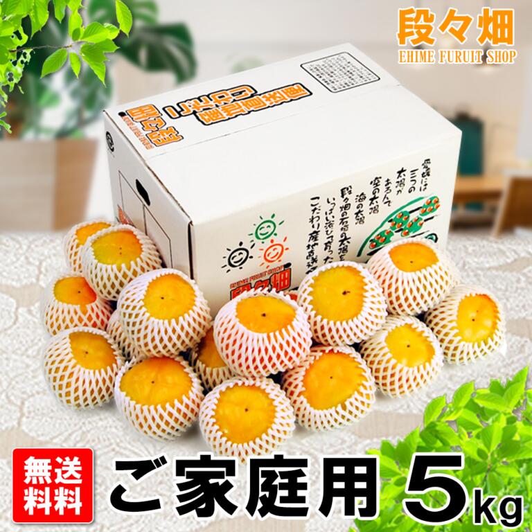 94 ひらたね柿　家庭用、5kg