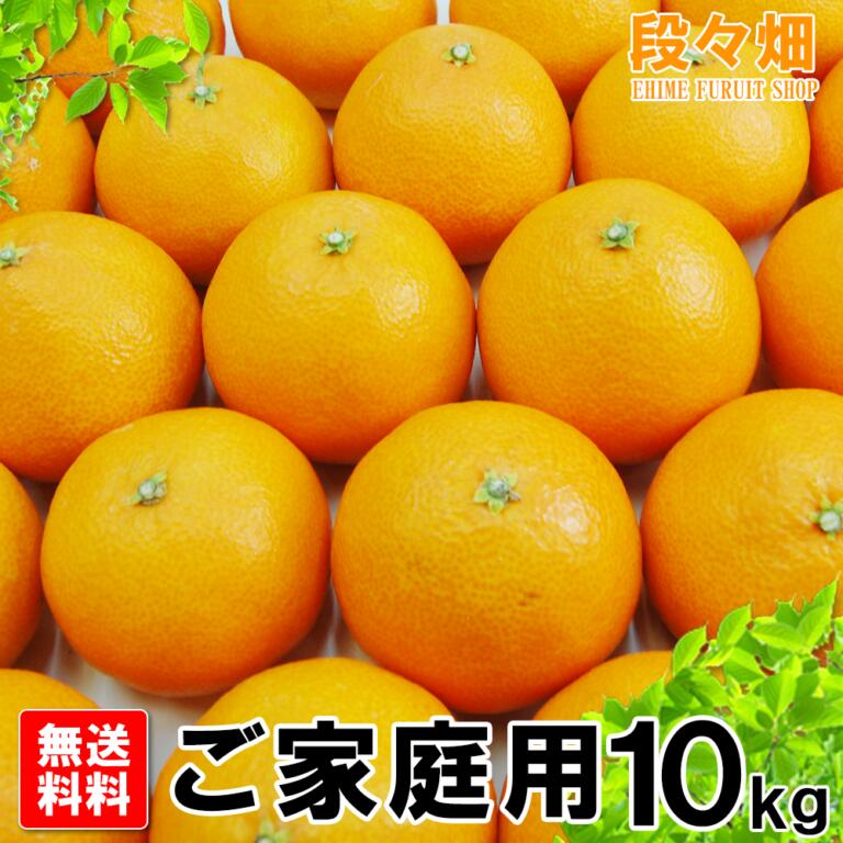 愛媛県産 媛まどんな ご家庭用10kg