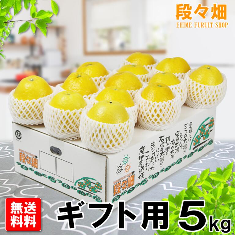 画像1: 愛媛県産 ジューシーオレンジ ギフト用 5kg (1)