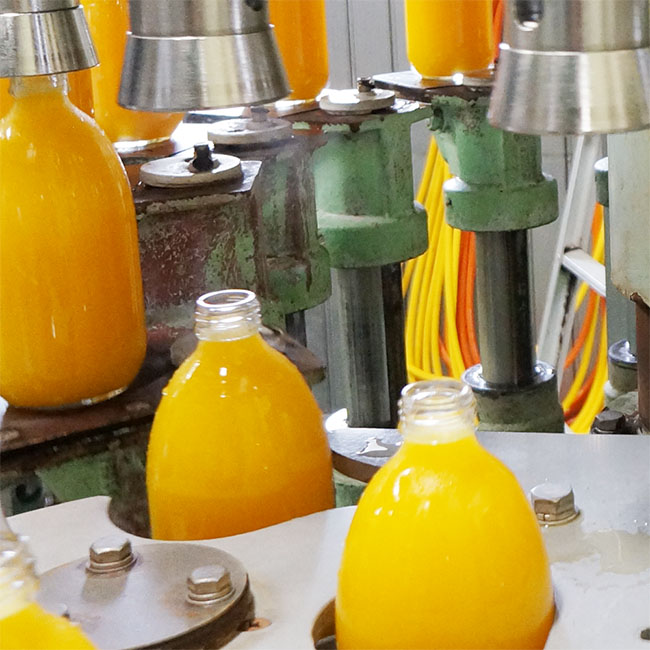 画像6: 愛媛県産 ジューシーオレンジ・100％ストレート果汁ジュース セット (6)