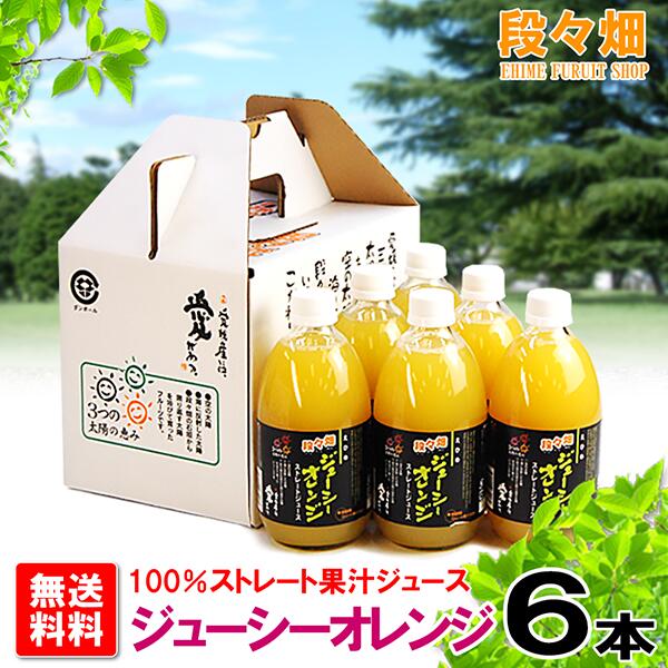 画像1: 段々畑100% ジューシーオレンジ ジュース ６本入り (1)
